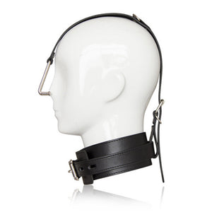 Smooth Stainless Steel Metal Nose Hook