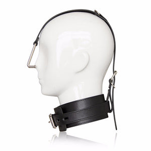 Smooth Stainless Steel Metal Nose Hook