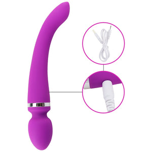 Dual Head Vibrator