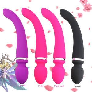 Dual Head Vibrator