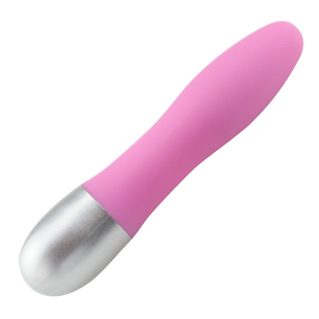 Waterproof Portable Vibrator