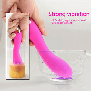 20 Speeds Dildo Vibrators