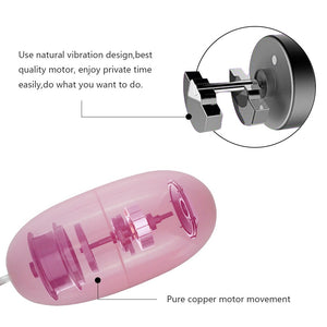 1 set Vibrating Egg and Vibrator Sex Toys